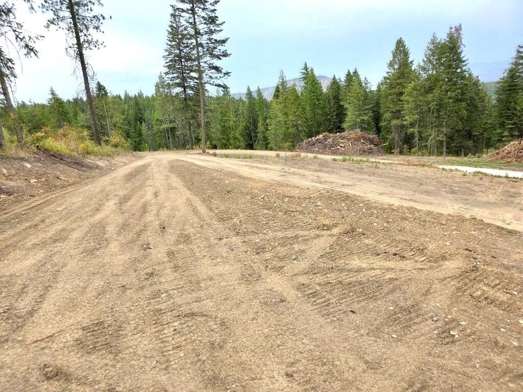 Picture 3