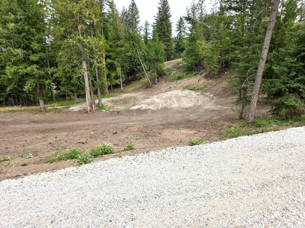 Picture 4