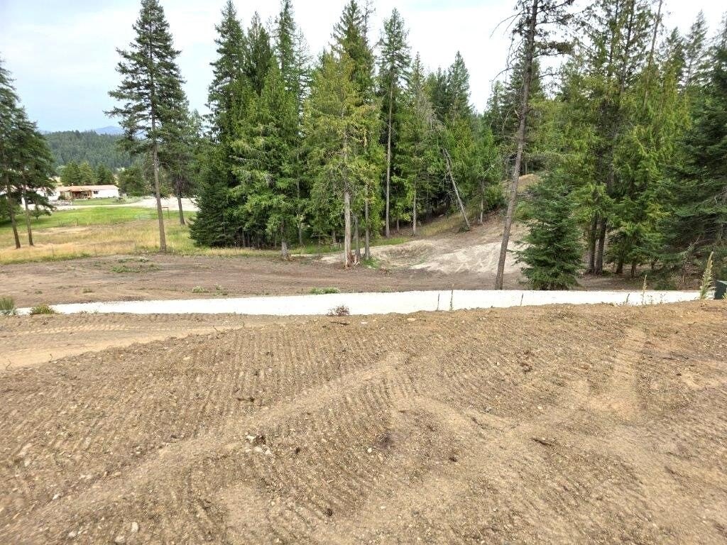 Picture 2