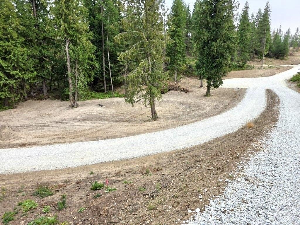 Picture 5