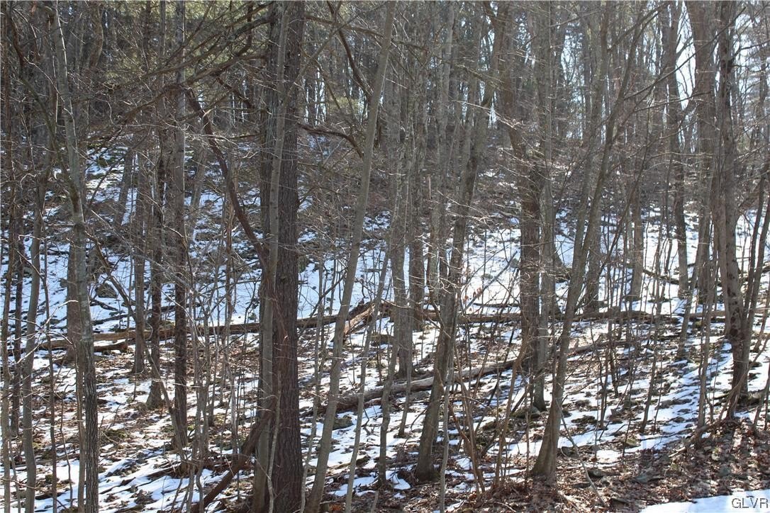 Wooded Land in Price Twp