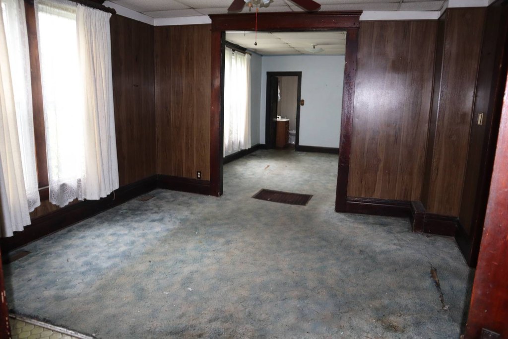 Picture 5