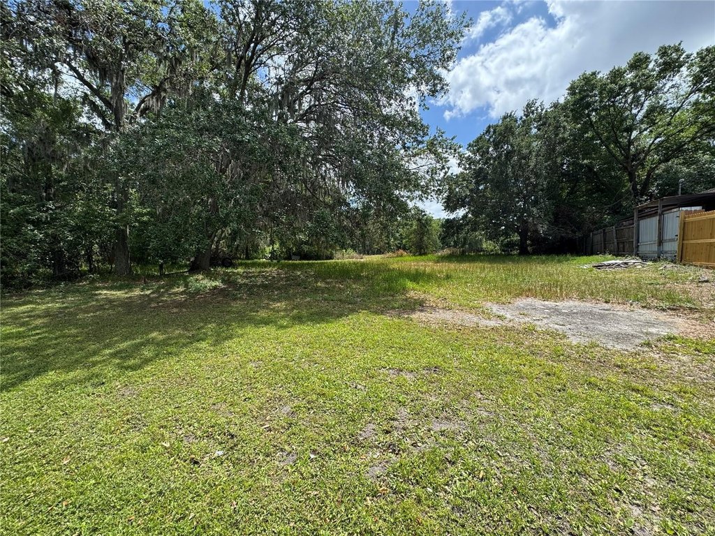Picture 3