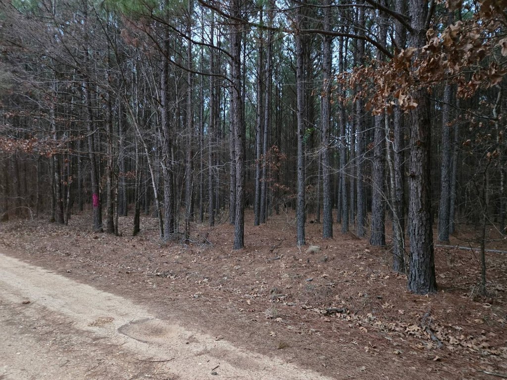 Picture 15