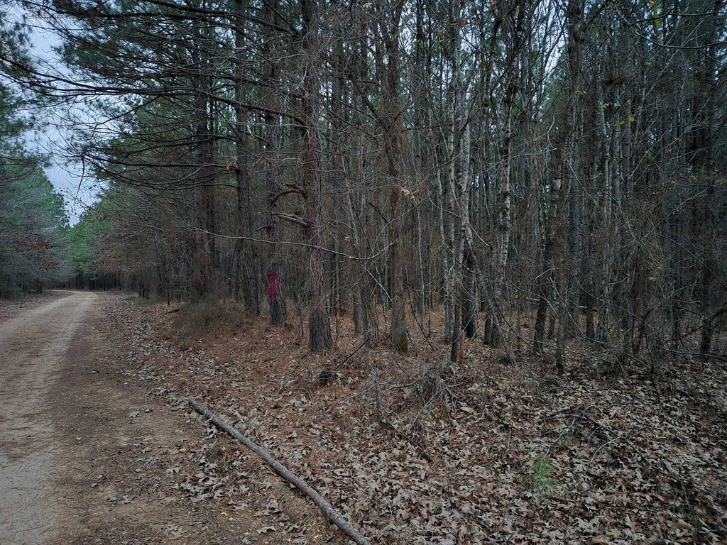 Picture 17