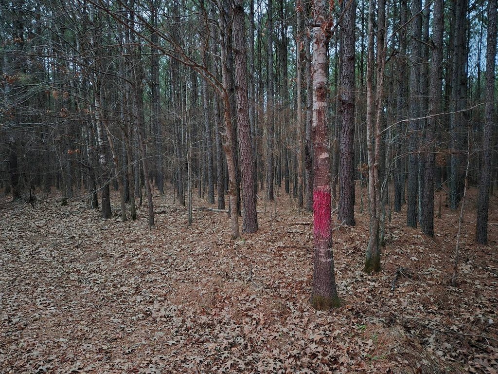 Picture 18
