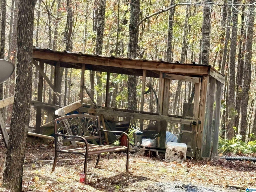 Picture 41