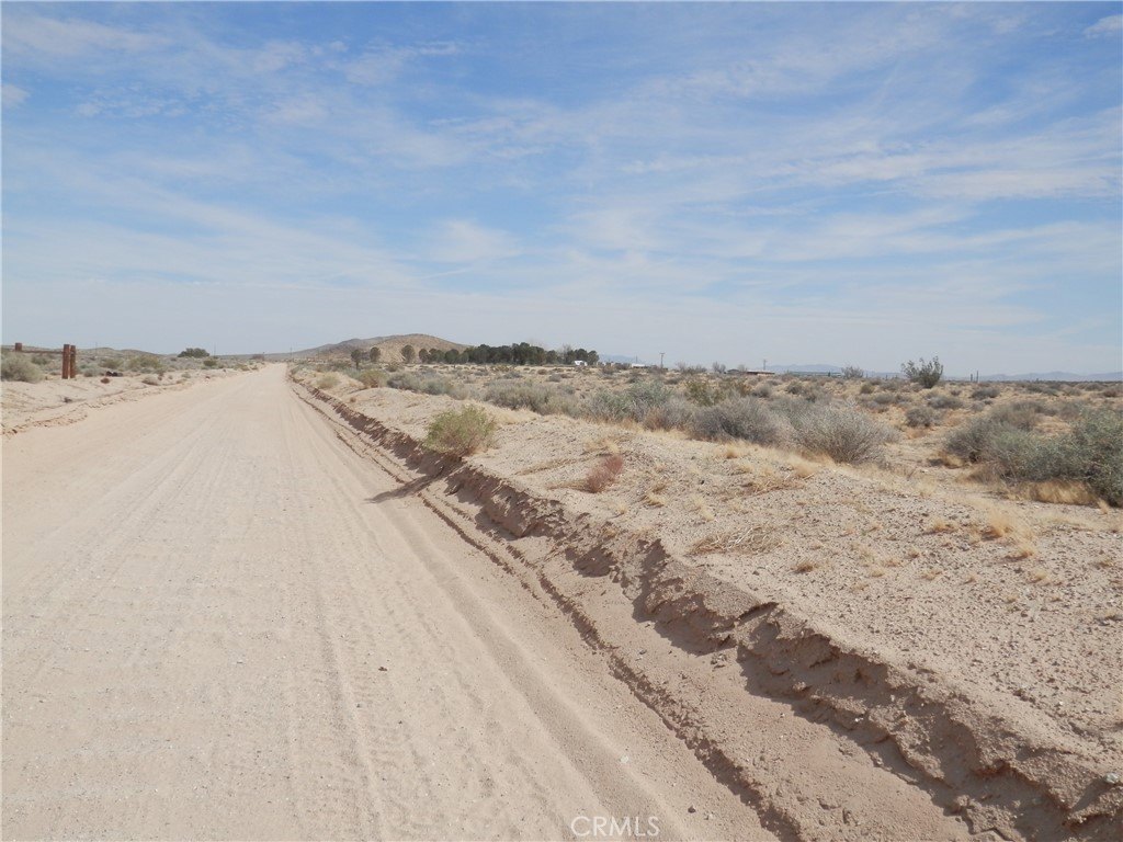 Picture 6
