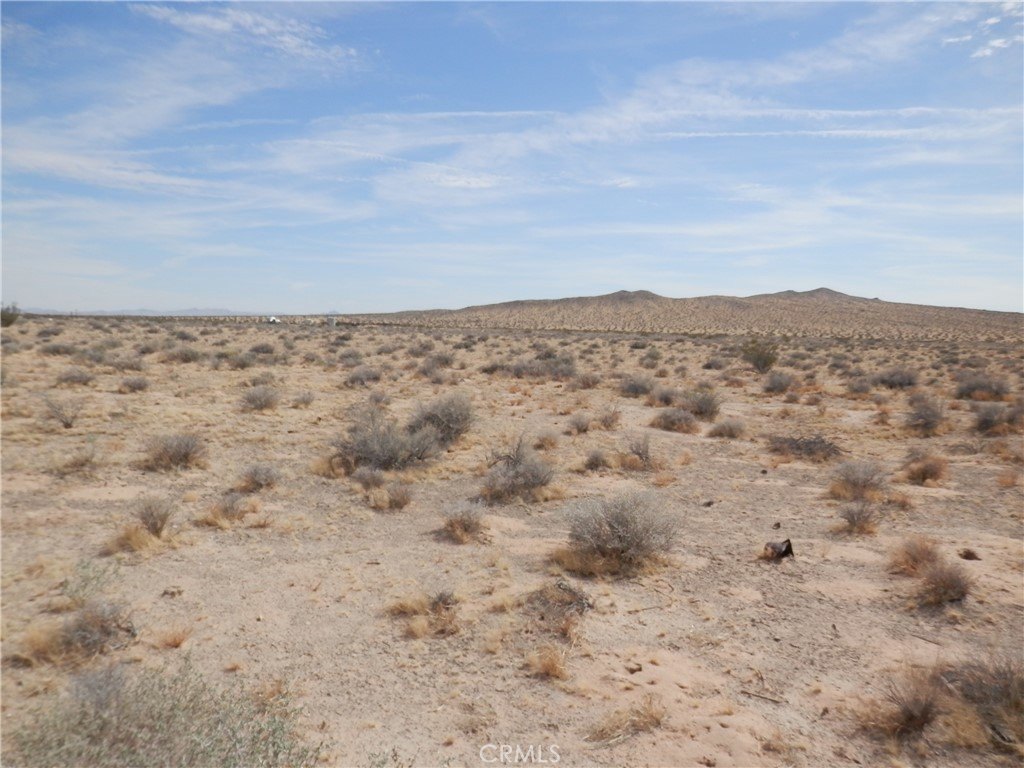 Picture 10