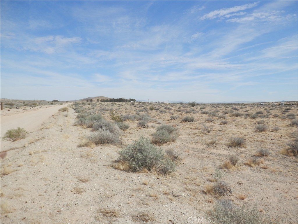 Picture 8