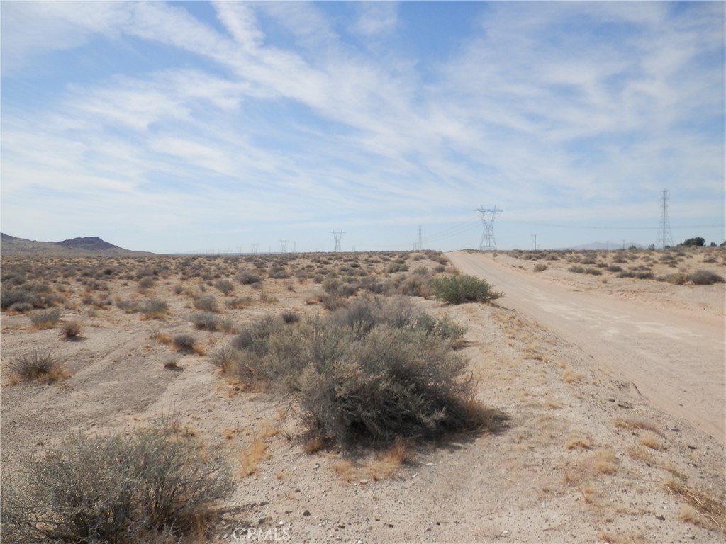 Picture 12