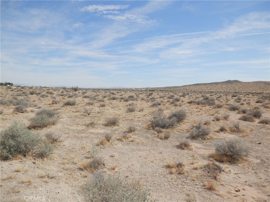 Picture 9