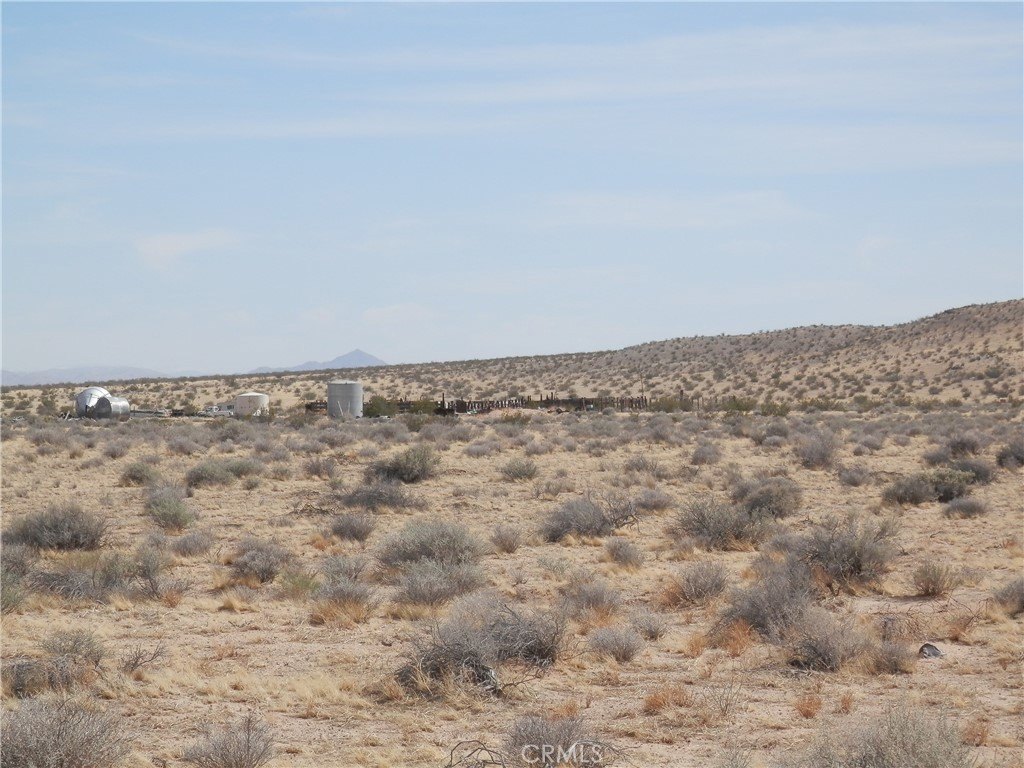 Picture 14