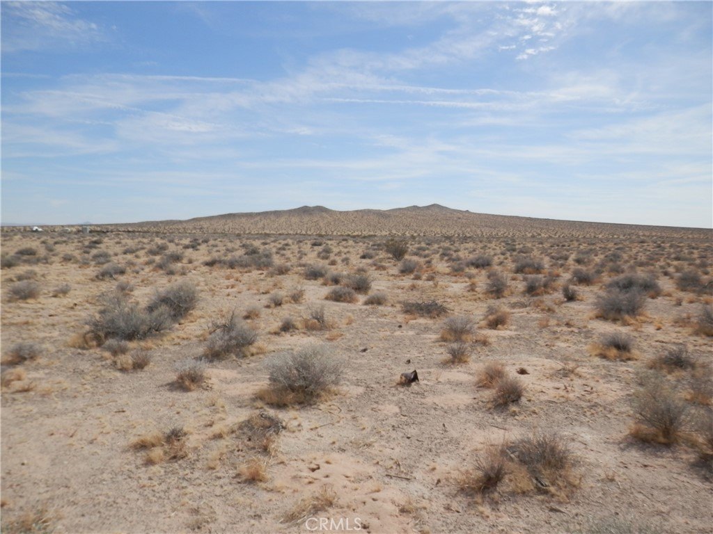 Picture 11