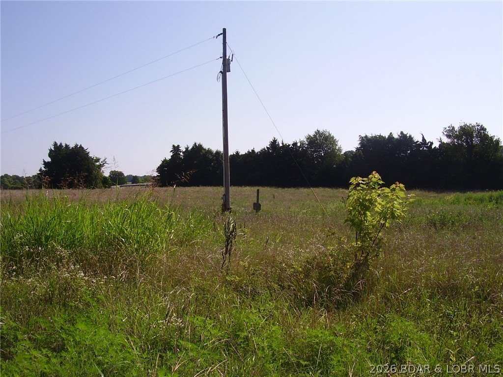 Picture 12