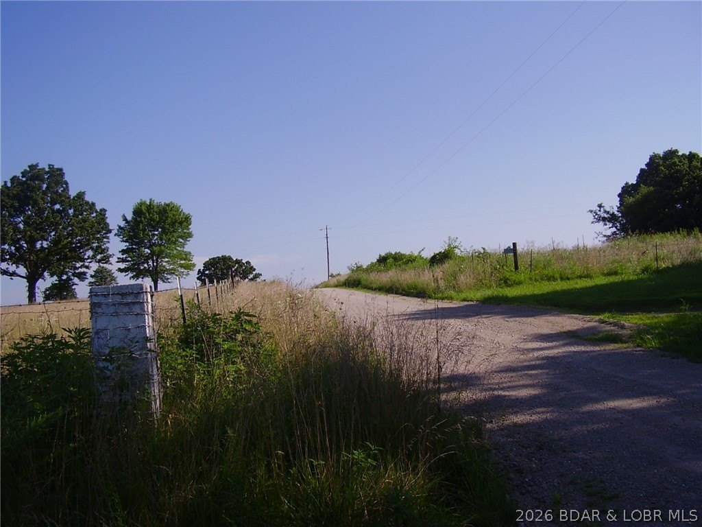 Picture 3
