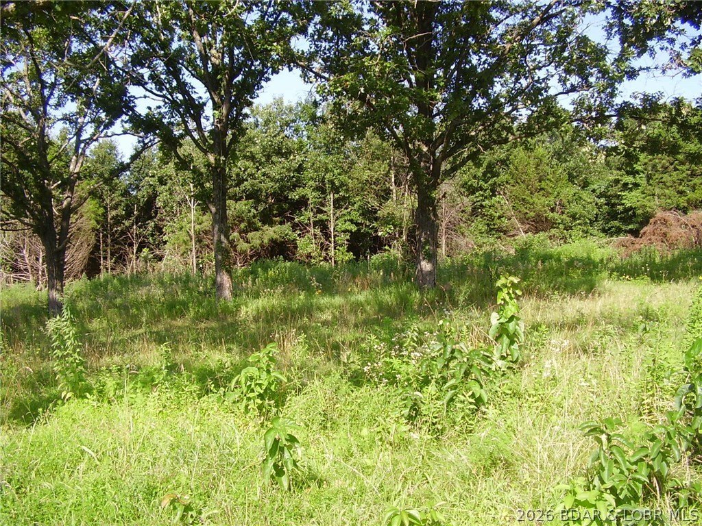 Picture 11