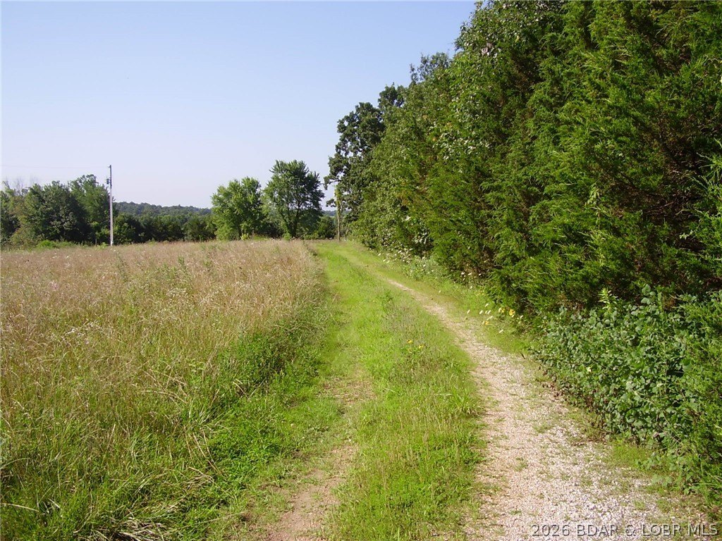 Picture 16