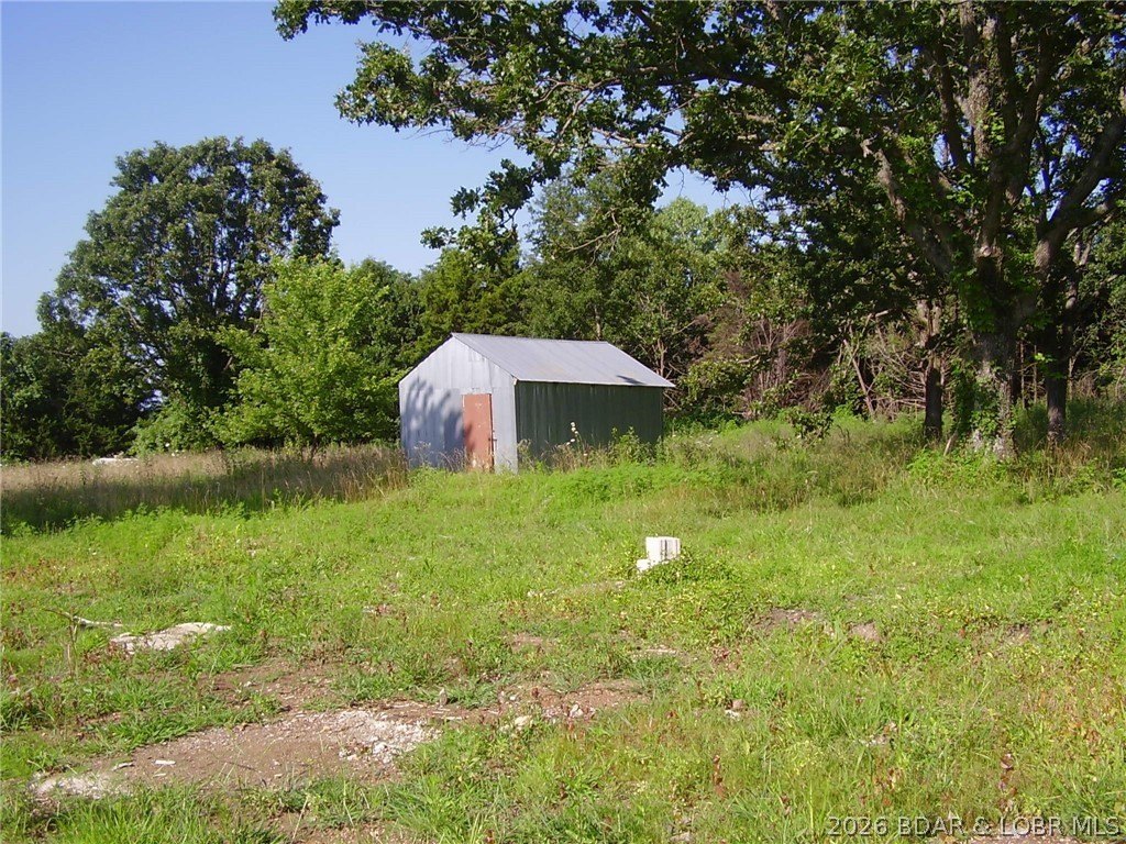 Picture 8