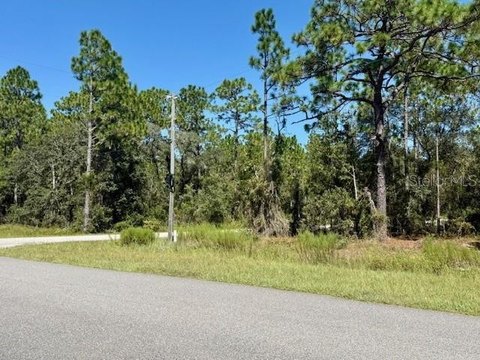 Land - DUNNELLON, FL