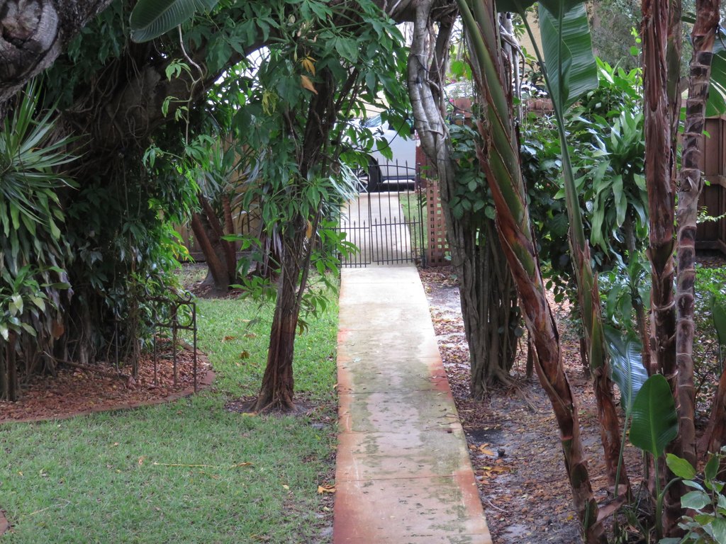 Picture 10