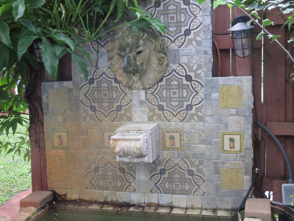 Picture 8