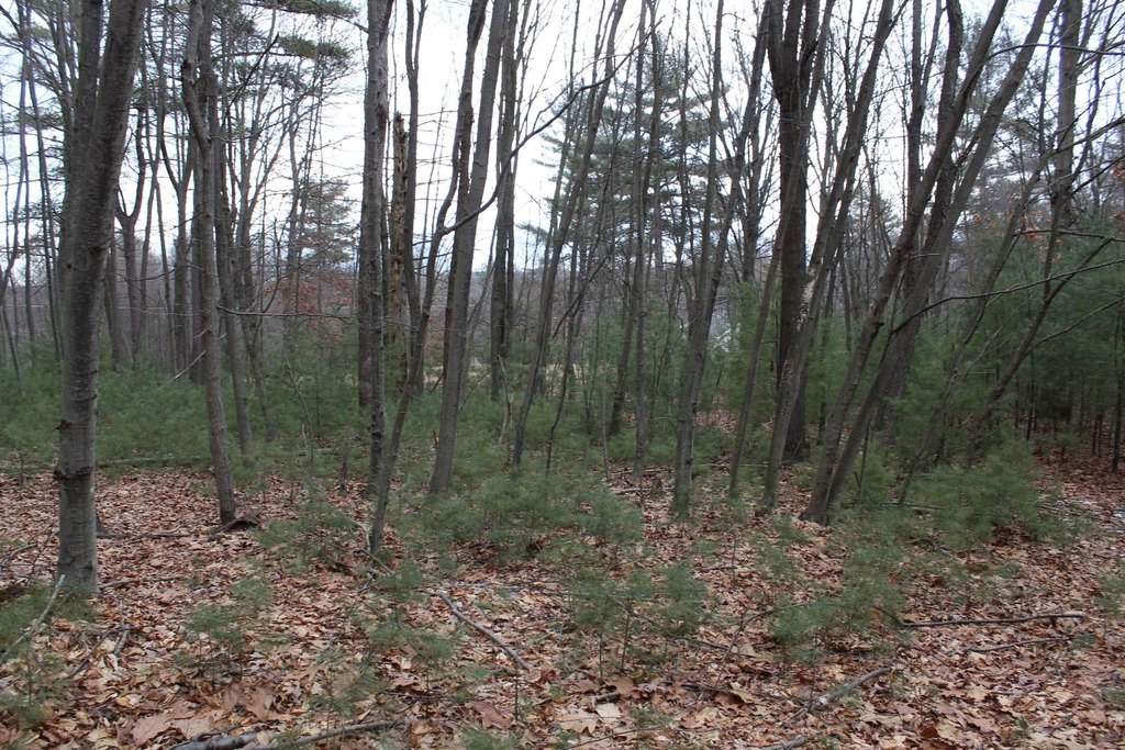 Picture 3