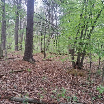 Land, Huntingdon, PA