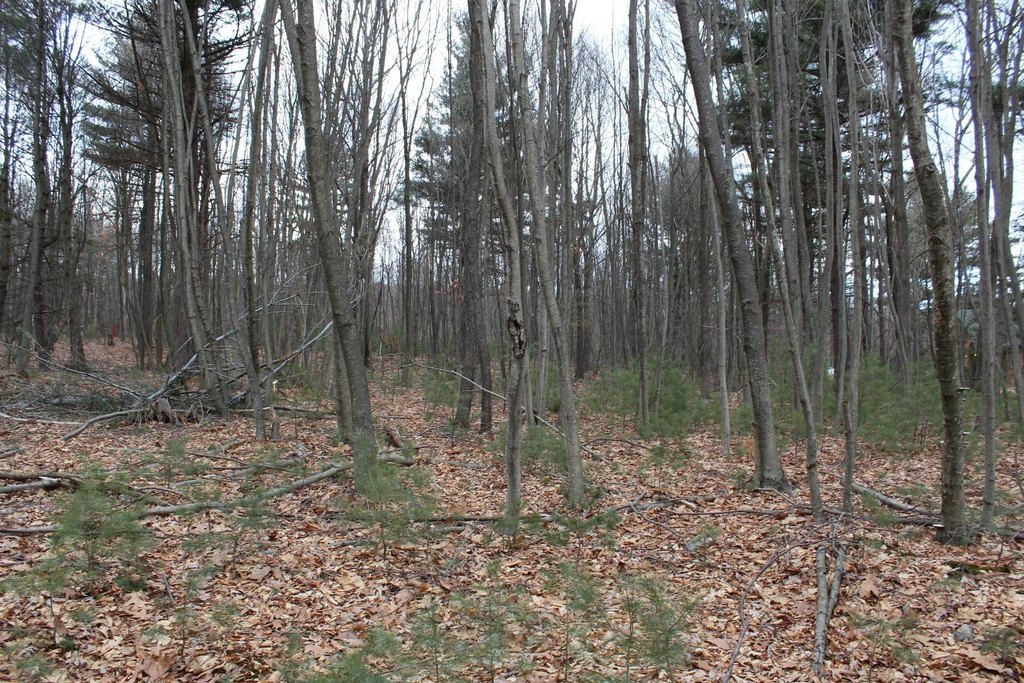 Picture 4