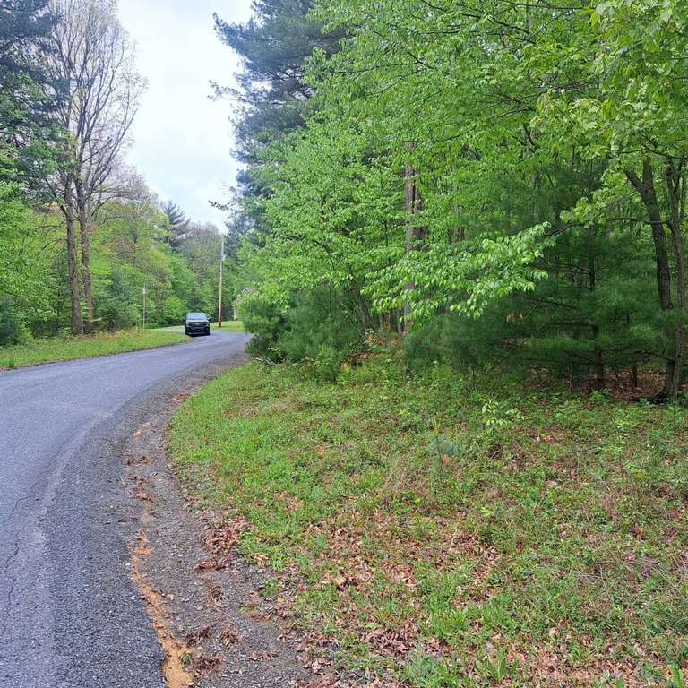 Picture 5