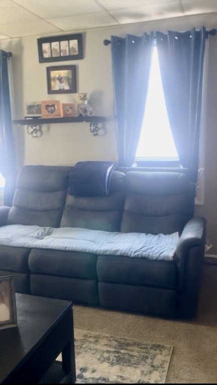 Picture 25
