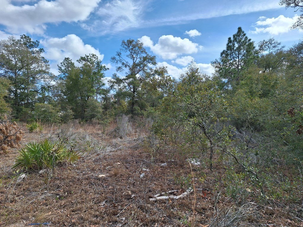 Picture 2