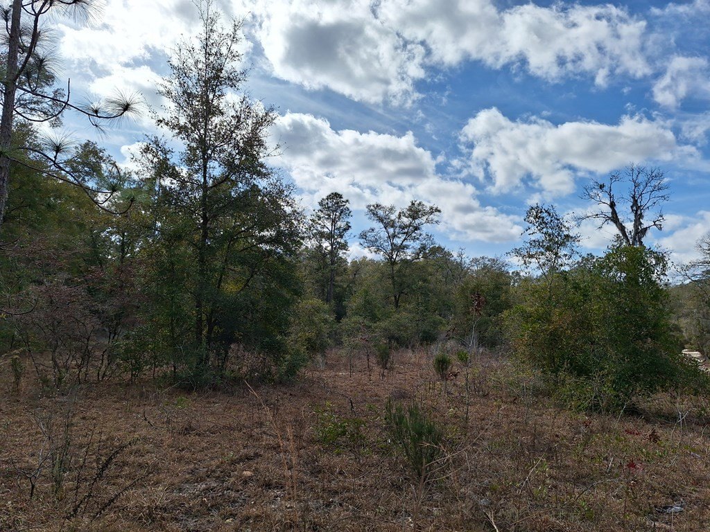 Picture 5