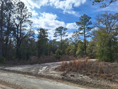 LAND - Bronson, FL