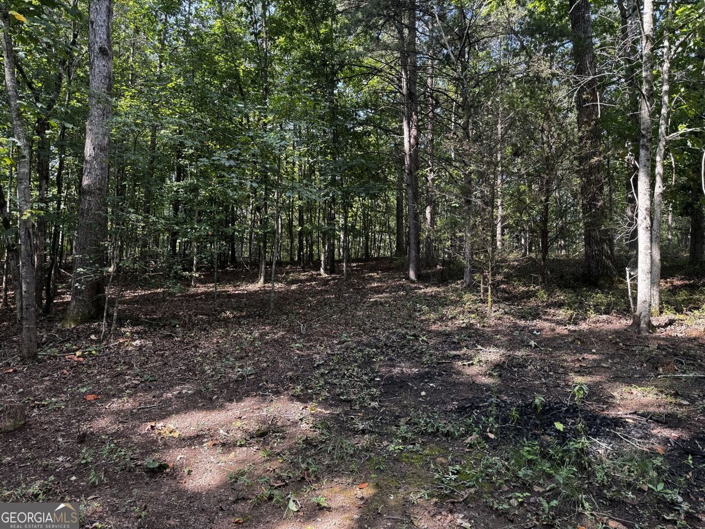 Picture 19