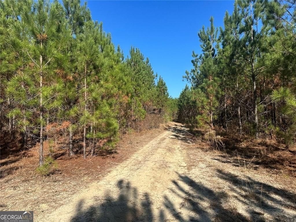 Picture 16