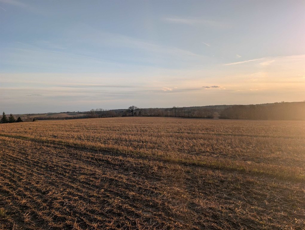 Picture 19