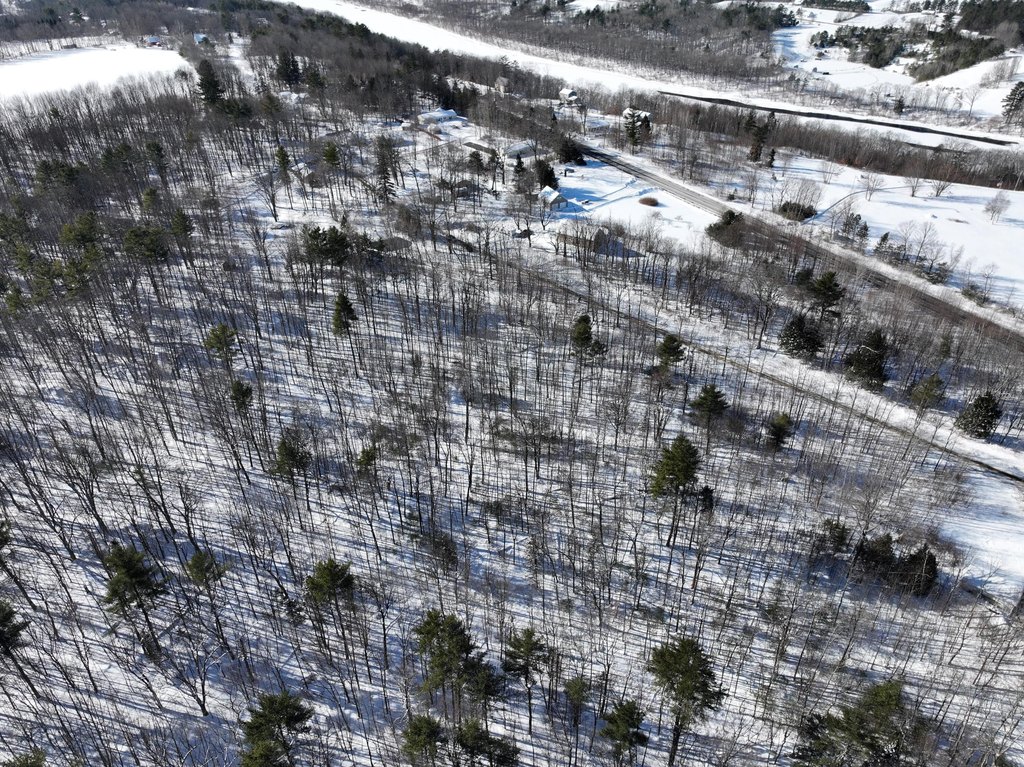 Picture 12