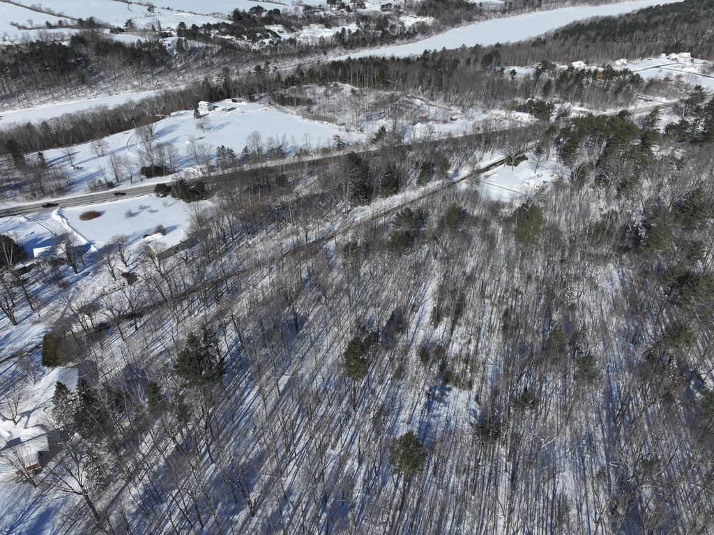Picture 14