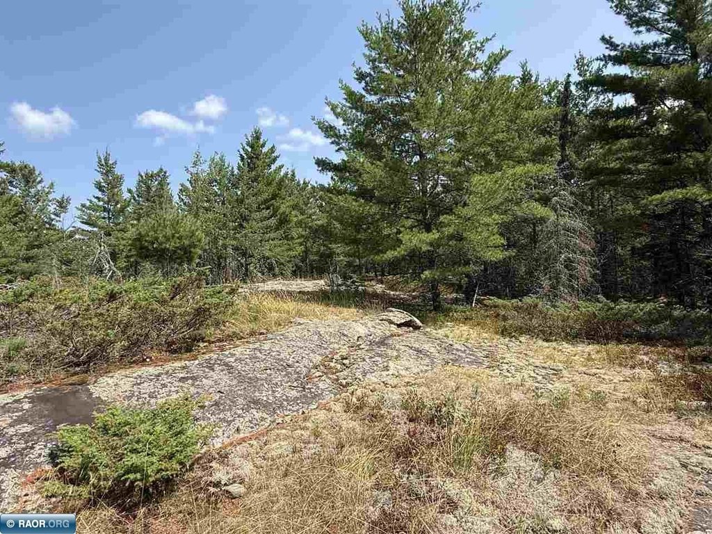 Picture 21