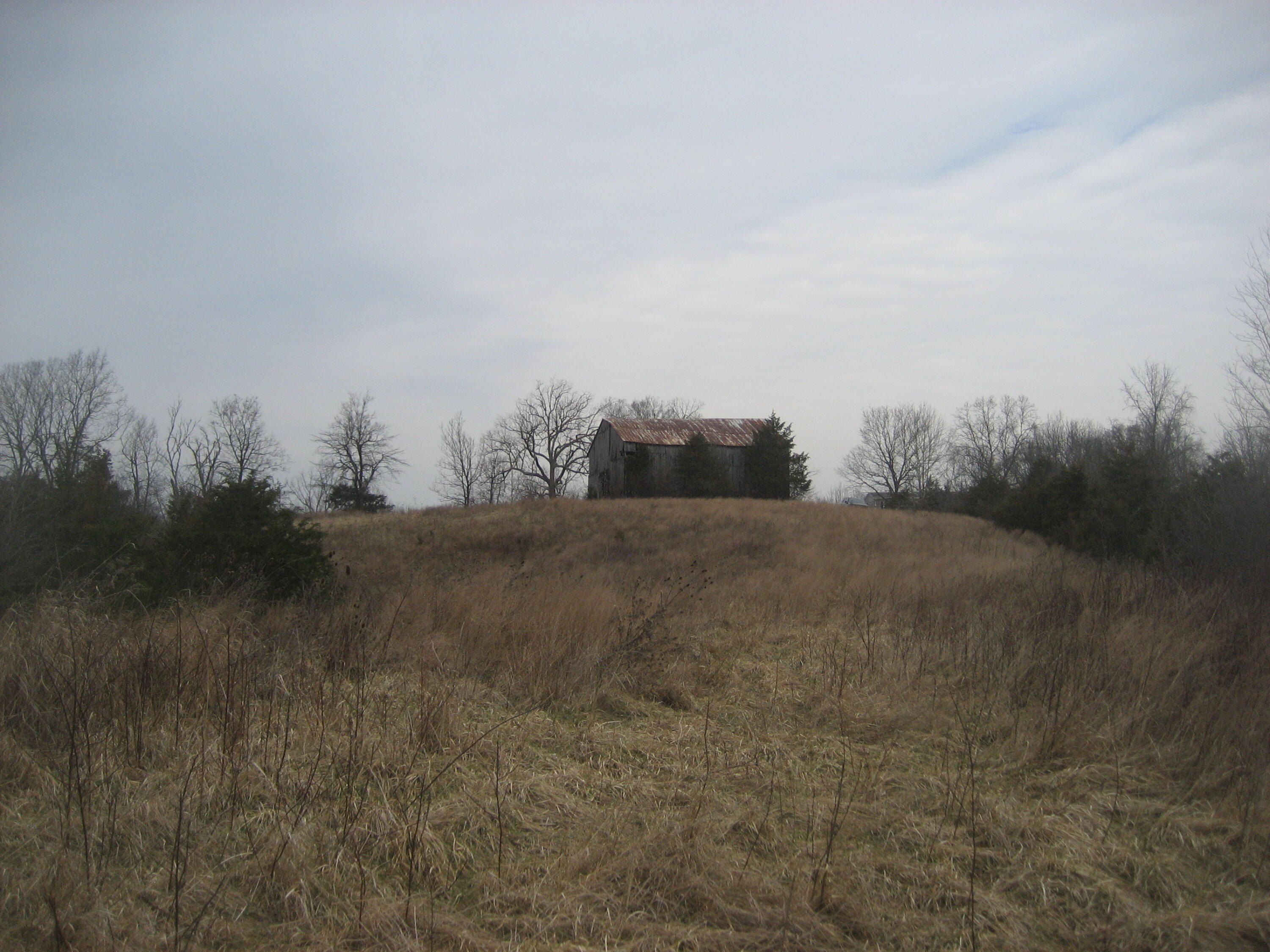 53 Acres in Anderson County