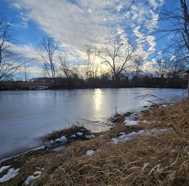 Picture 21