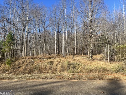 Gainesville Homesite with Wooded Acreage