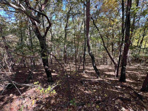 Greers Ferry Lake Waterfront Land