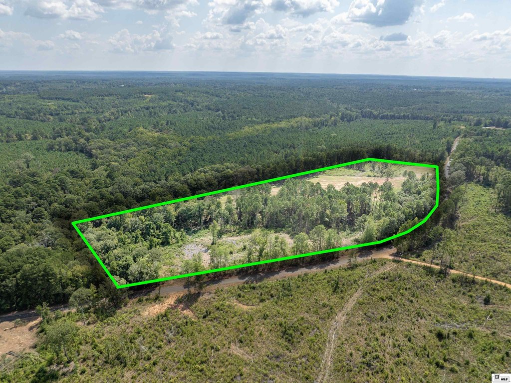 Picture 3