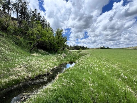 Wyoming Land with Creek Access