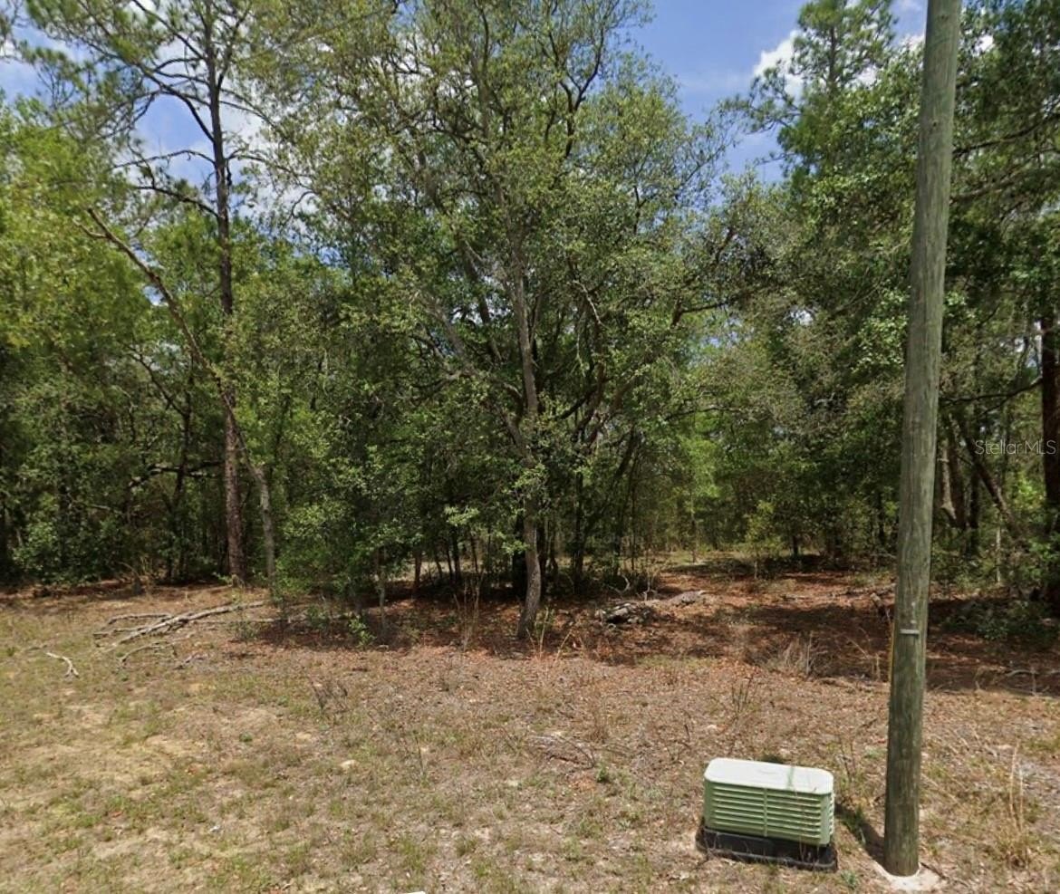 Homesite in Citrus Springs, FL
