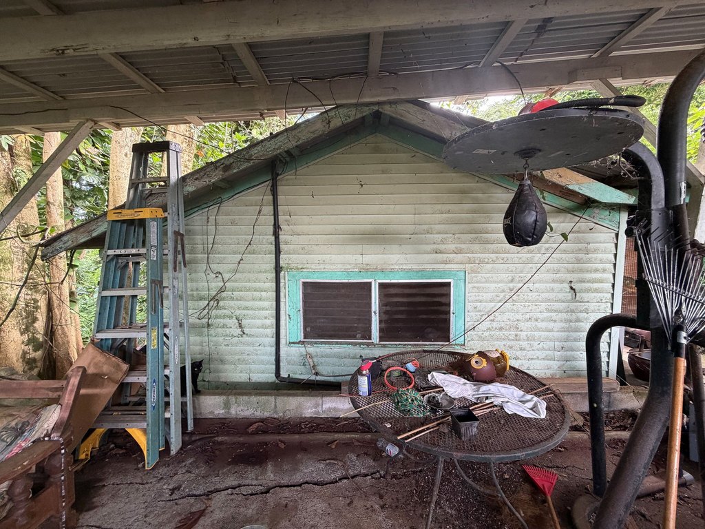 Picture 12