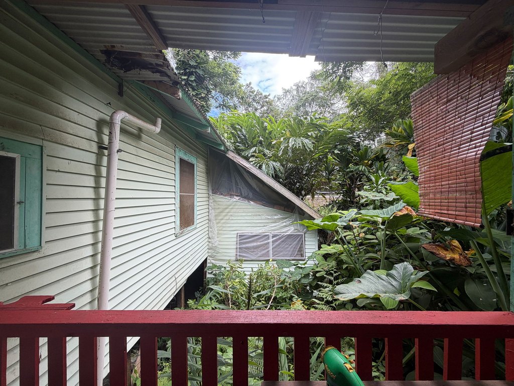 Picture 11