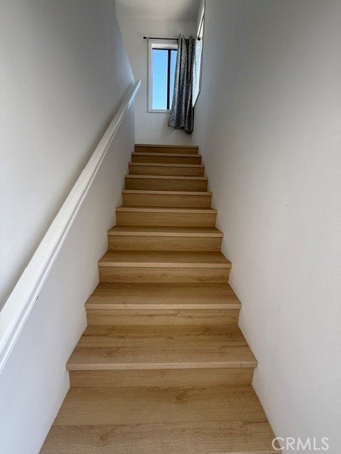 Picture 37